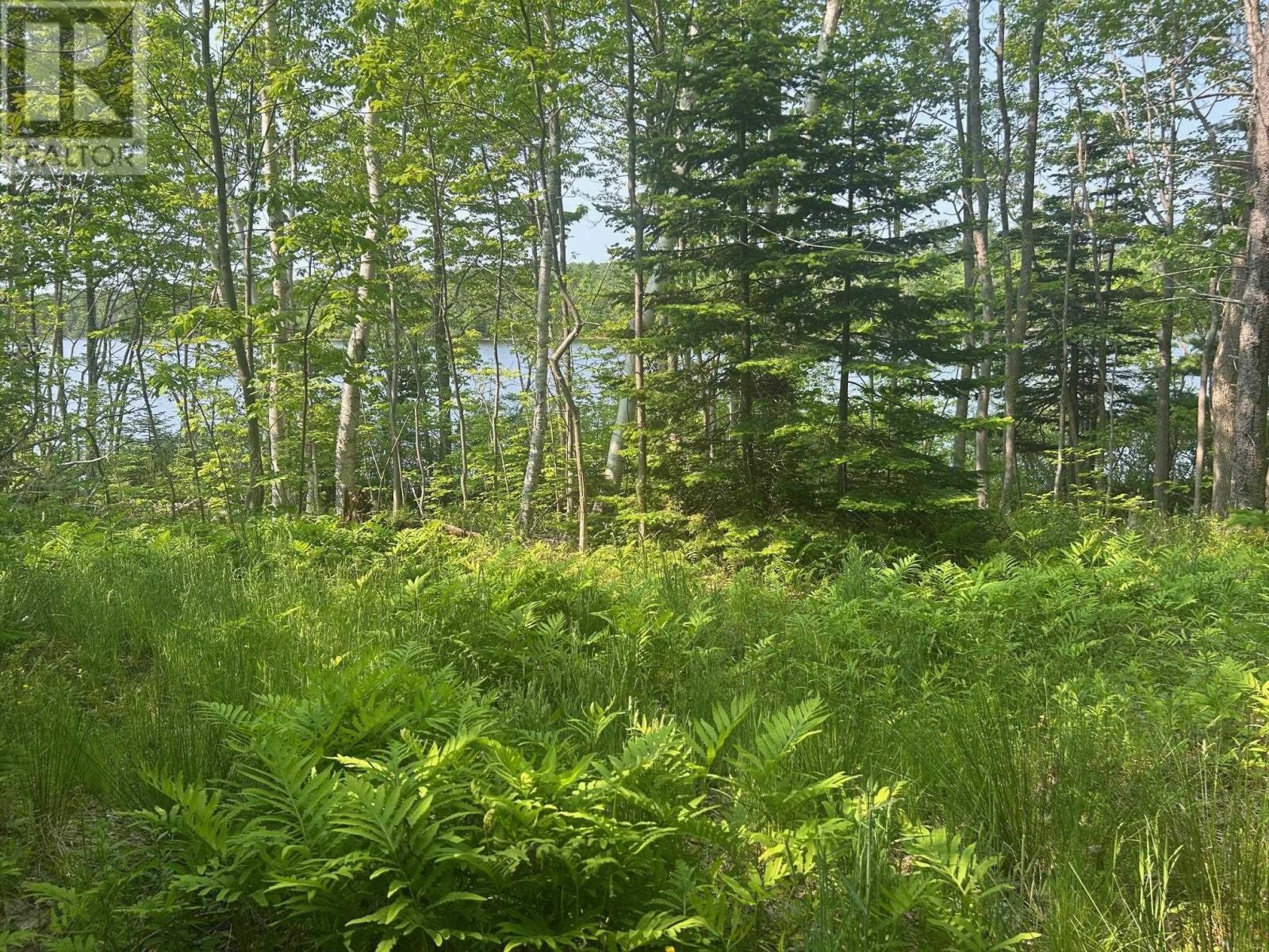 (Unit 1) 130 Everlina Lane, Windsor Junction, Nova Scotia  B2T 0T3 - Photo 3 - 202504041