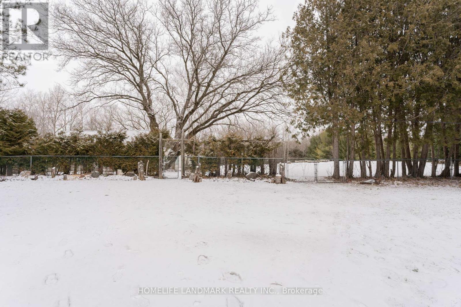 3210 Herald Road, East Gwillimbury, Ontario  L0G 1V0 - Photo 38 - N11992777