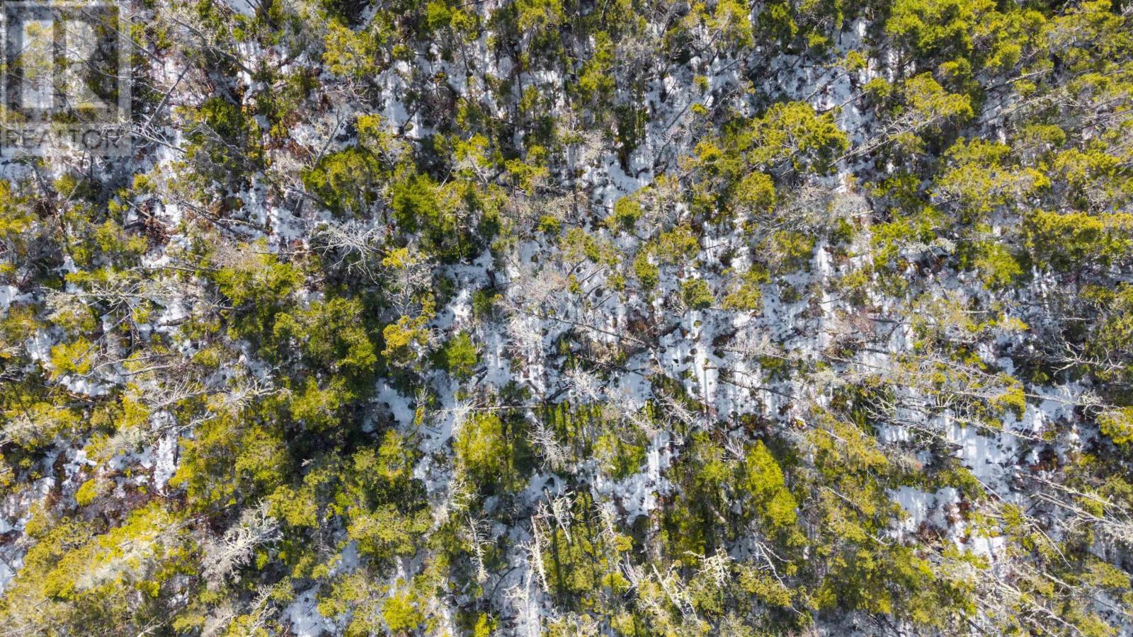 1551 East Chezzetcook Road, East Chezzetcook, Nova Scotia  B0J 1N0 - Photo 13 - 202504046