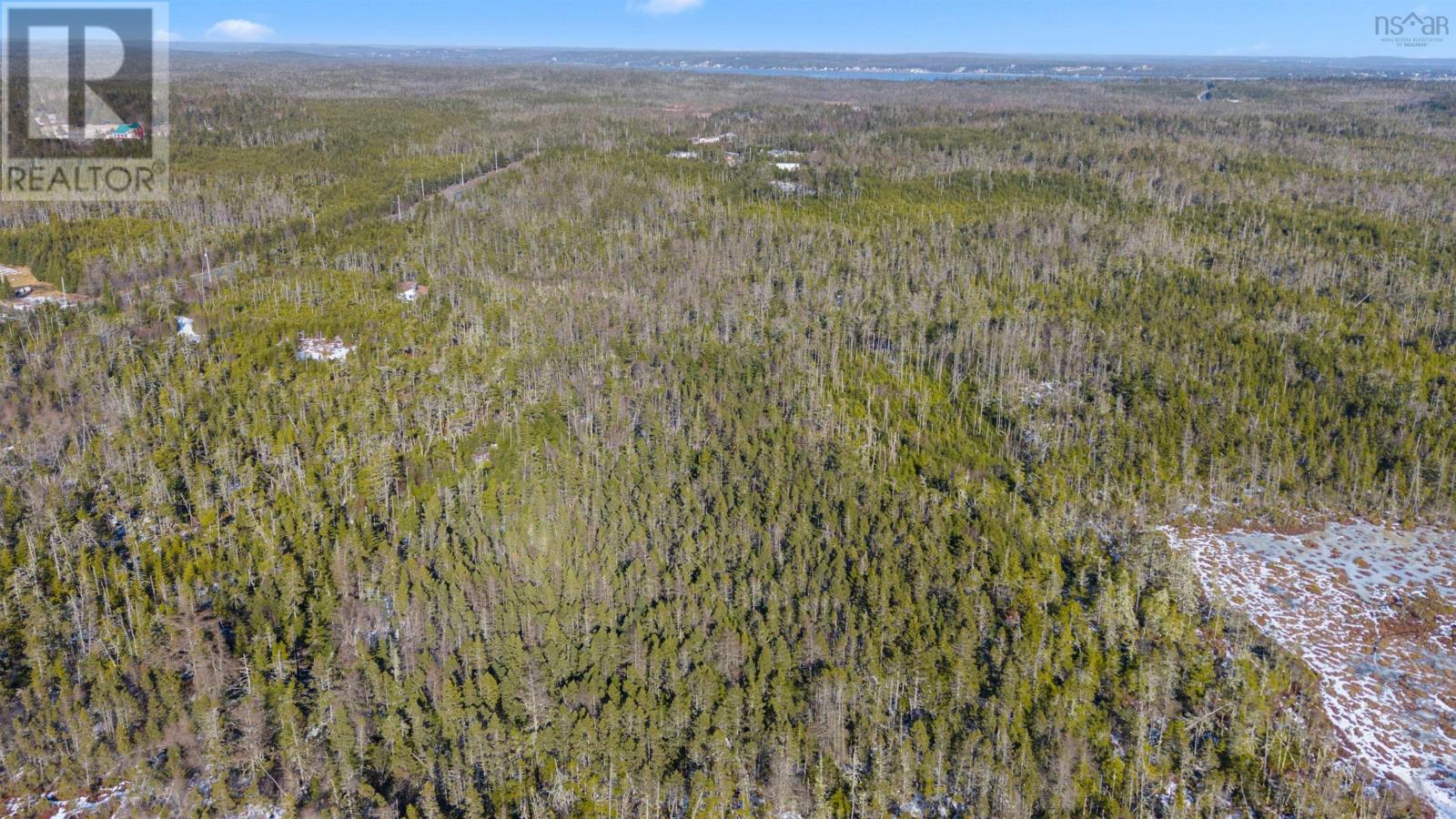 1551 East Chezzetcook Road, East Chezzetcook, Nova Scotia  B0J 1N0 - Photo 5 - 202504046