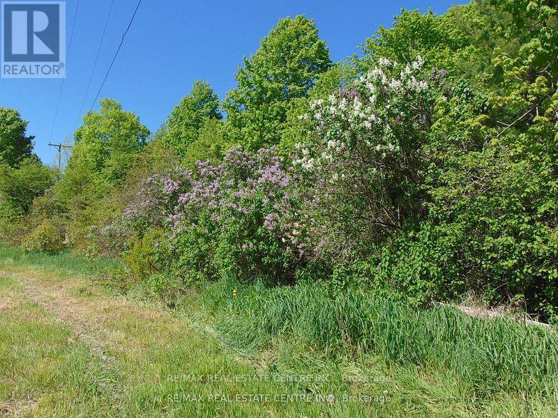 322 Barker Road, Madoc, Ontario  K0K 1Y0 - Photo 3 - X11999225