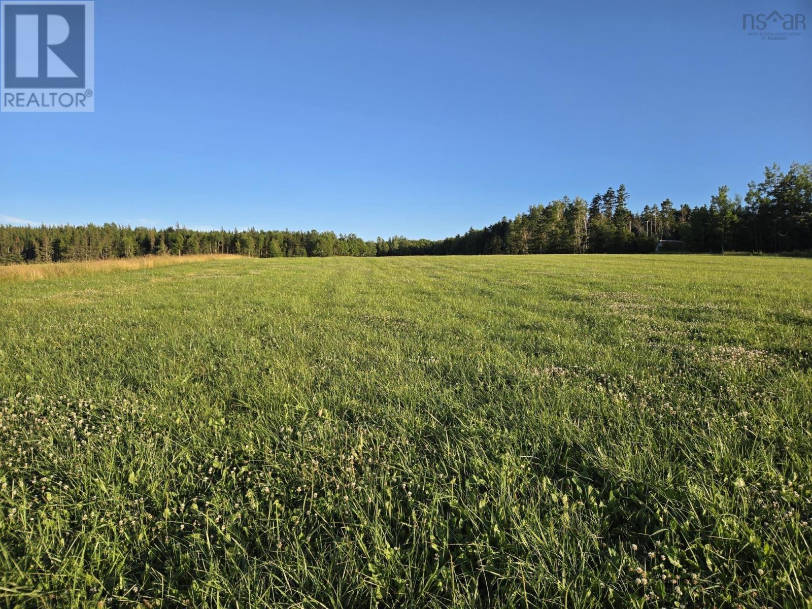 Lot 1 Highway 215, Lower Selma, Nova Scotia  B0N 1T0 - Photo 6 - 202504078