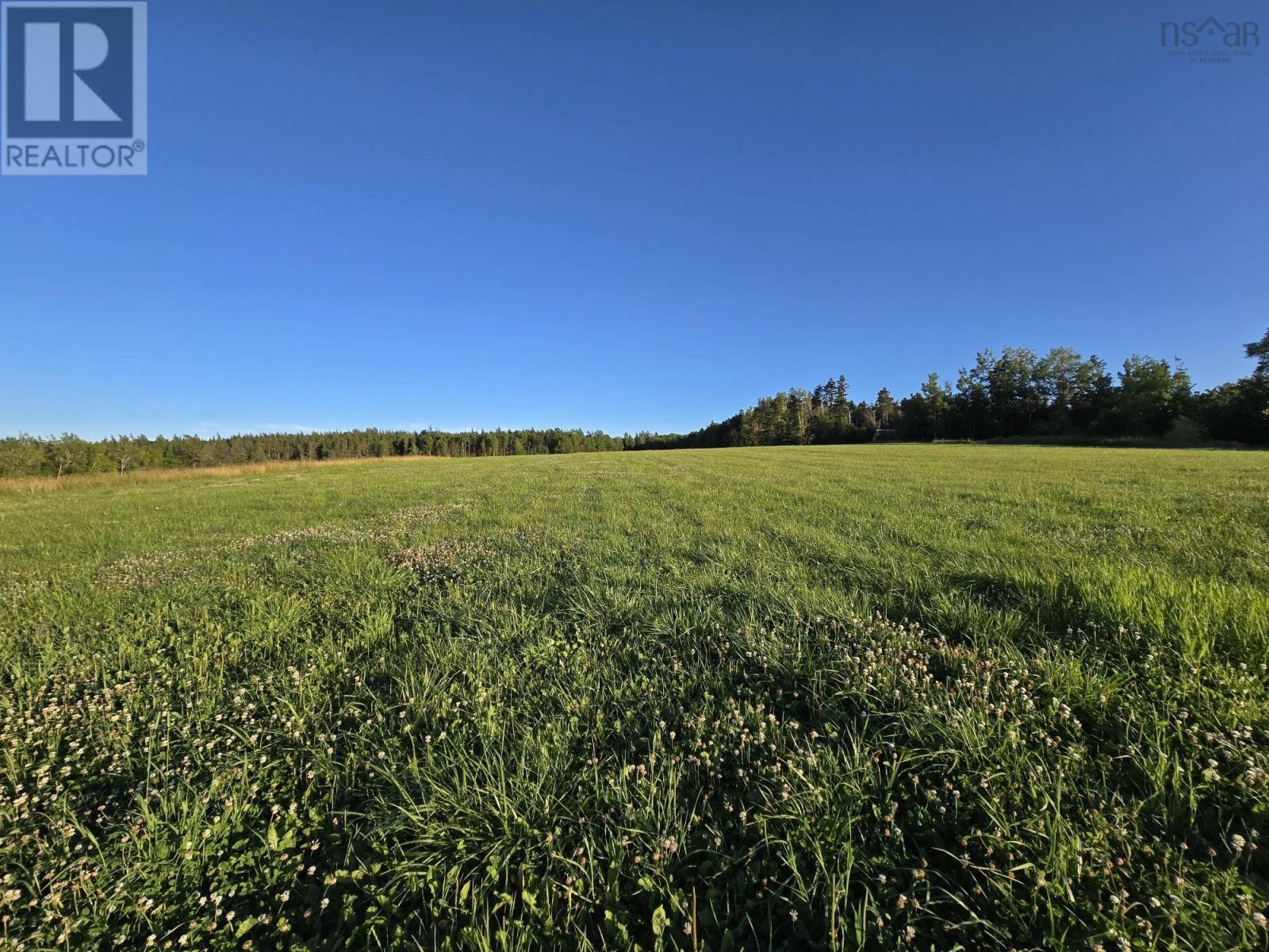 Lot 1 Highway 215, Lower Selma, Nova Scotia  B0N 1T0 - Photo 9 - 202504078