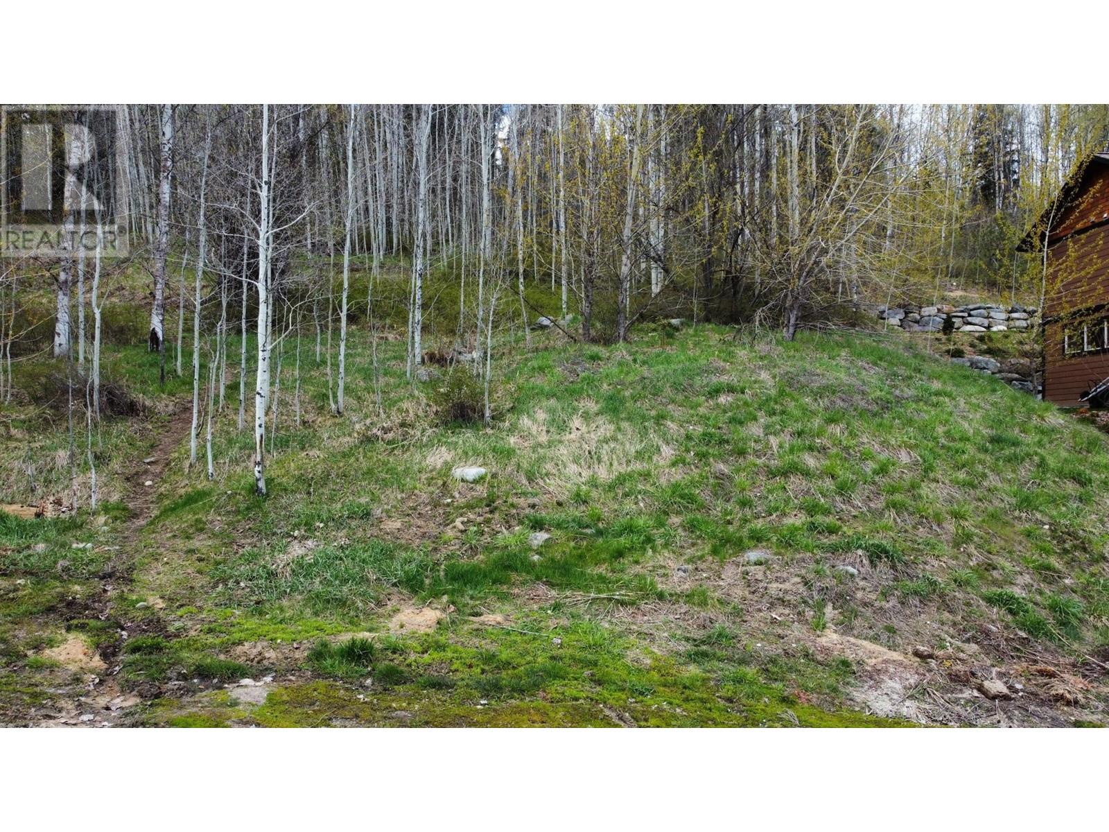 Property at 1018 SILVERTIP Road image 1