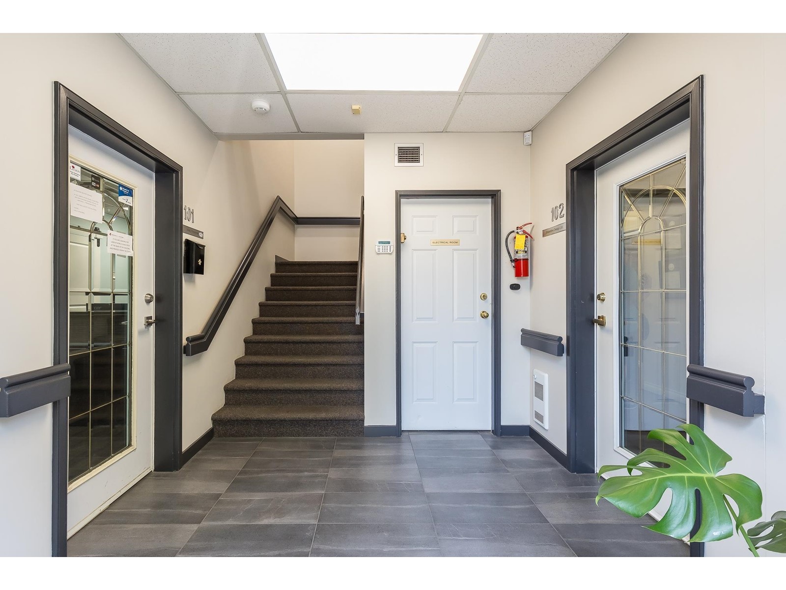 Property at 2469 PAULINE STREET image 4