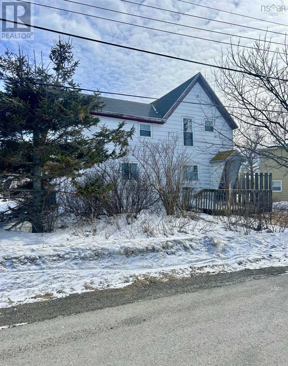 16 Forest Street, Inverness, Nova Scotia  B0E 1N0 - Photo 2 - 202504084