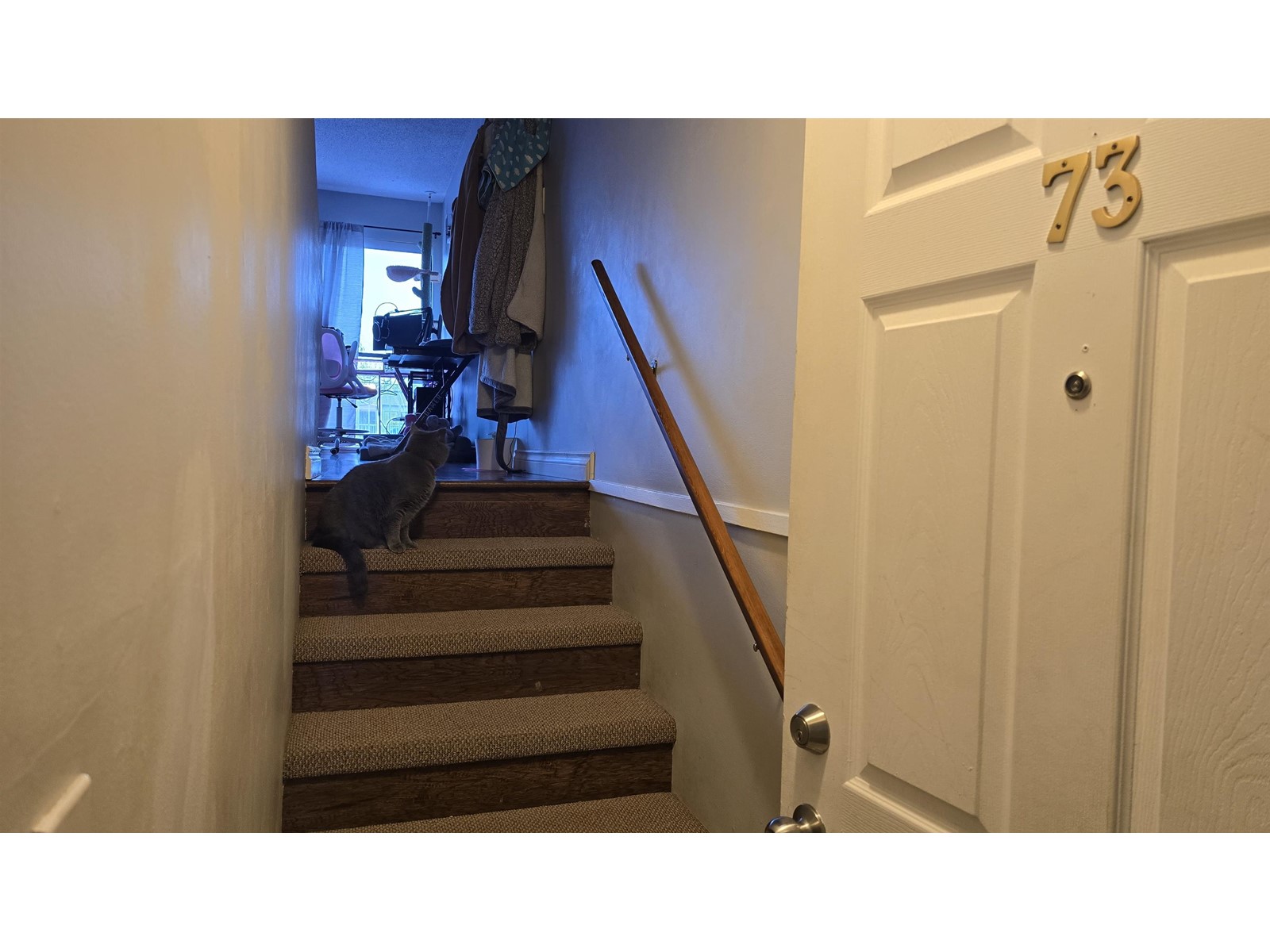 Property at 73 17712 60 AVENUE image 5