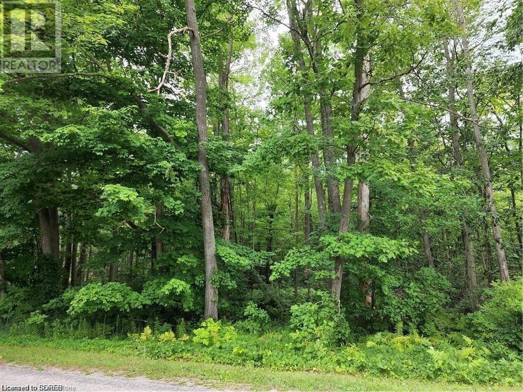 Pt Lot 20 7 Concession, Simcoe, Ontario  N3Y 4K1 - Photo 1 - 40703468