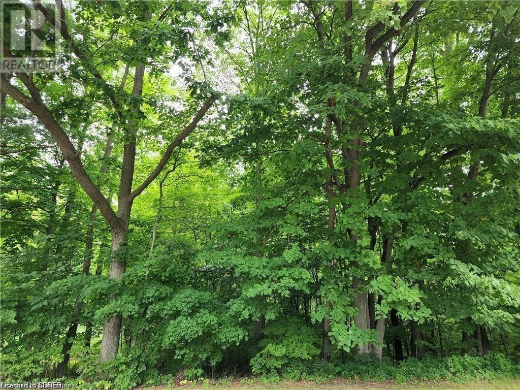 Pt Lot 20 7 Concession, Simcoe, Ontario  N3Y 4K1 - Photo 4 - 40703468