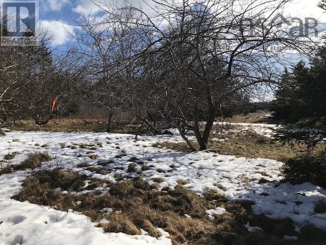 Lot R East Chezzetcook Road, East Chezzetcook, Nova Scotia  B0J 1N0 - Photo 8 - 202504091