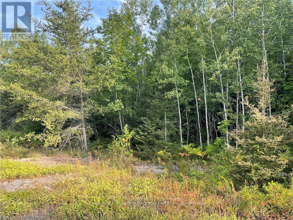 Part Lot 2 Leduc Road, West Nipissing, Ontario  P0H 1M0 - Photo 7 - X10709083