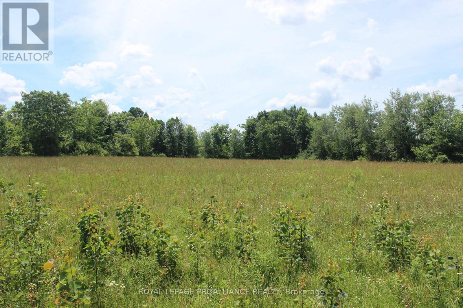 1064 Quin Mo Lac Road, Centre Hastings, Ontario  K0K 3J0 - Photo 4 - X9009615