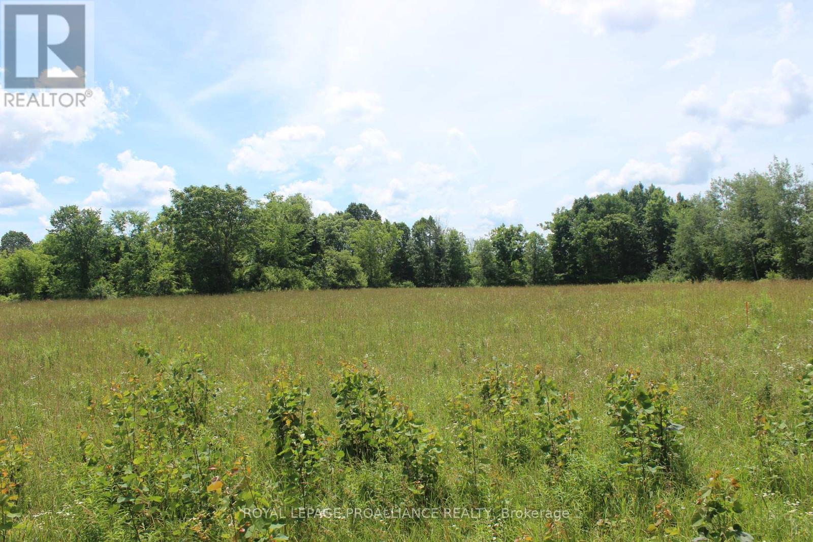 1064 Quin Mo Lac Road, Centre Hastings, Ontario  K0K 3J0 - Photo 6 - X9009615