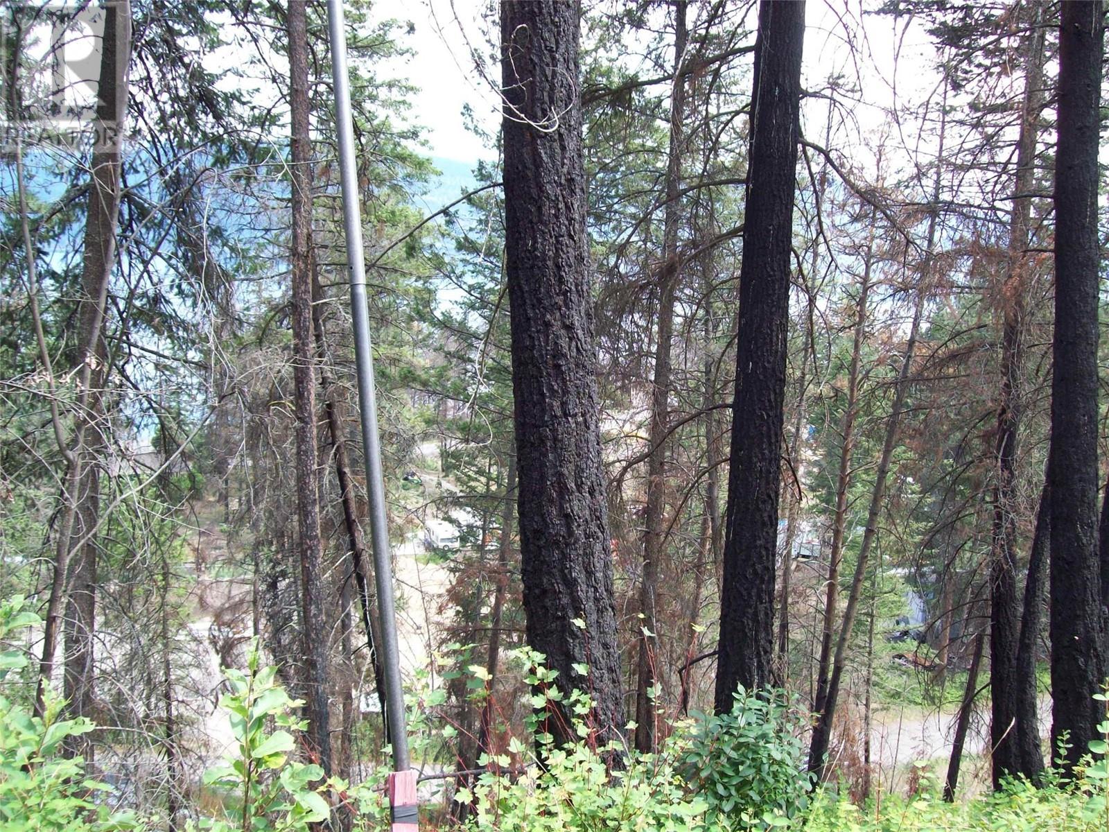 Property at 58 Homer Crescent image 2
