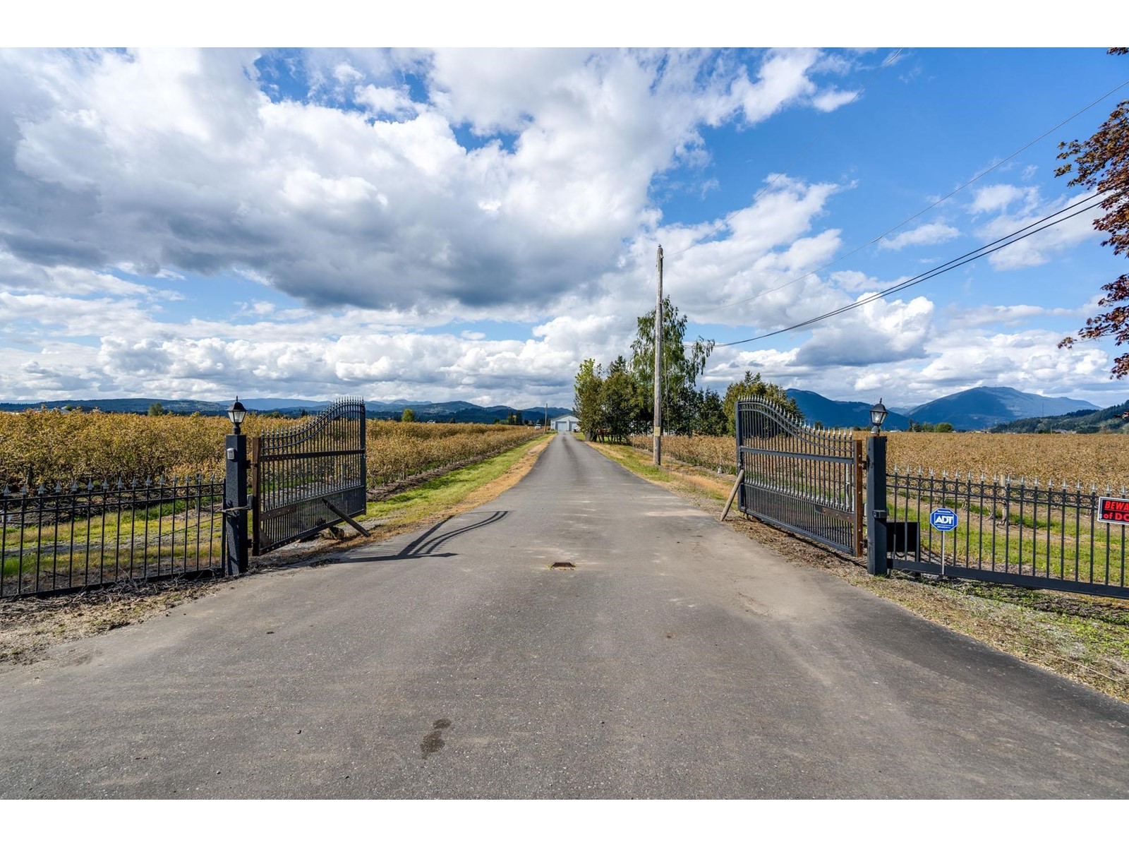 34659 Townshipline Road, Abbotsford, British Columbia  V3G 1R5 - Photo 13 - C8067175