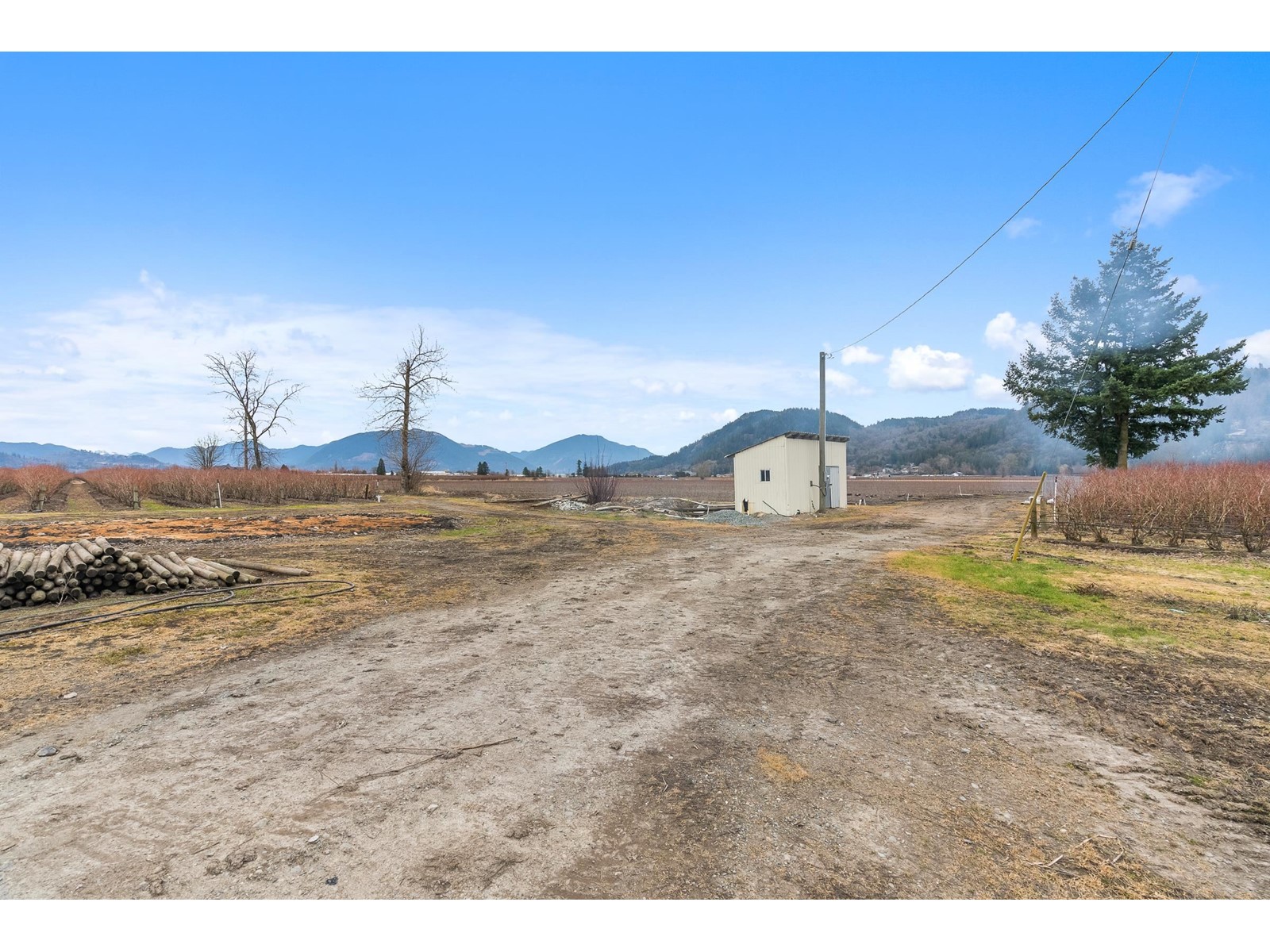 34659 Townshipline Road, Abbotsford, British Columbia  V3G 1R5 - Photo 31 - C8067175