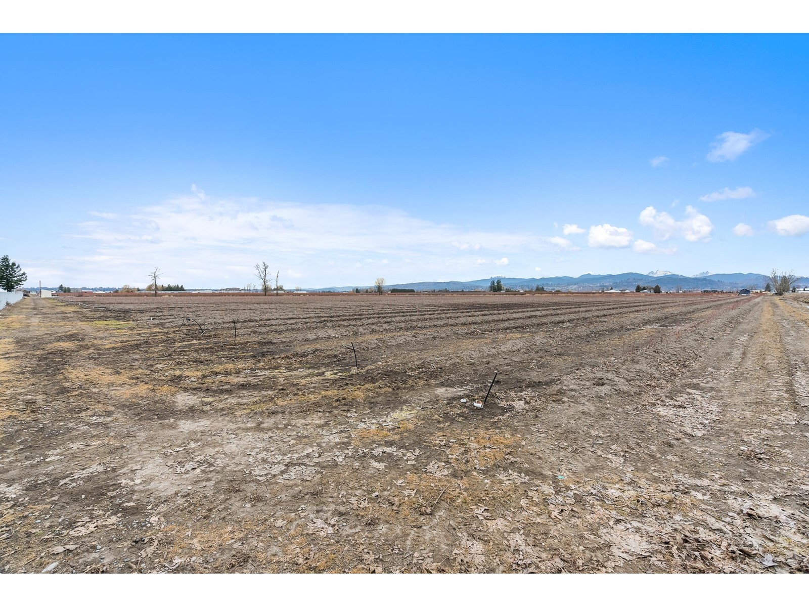 34659 Townshipline Road, Abbotsford, British Columbia  V3G 1R5 - Photo 34 - C8067175