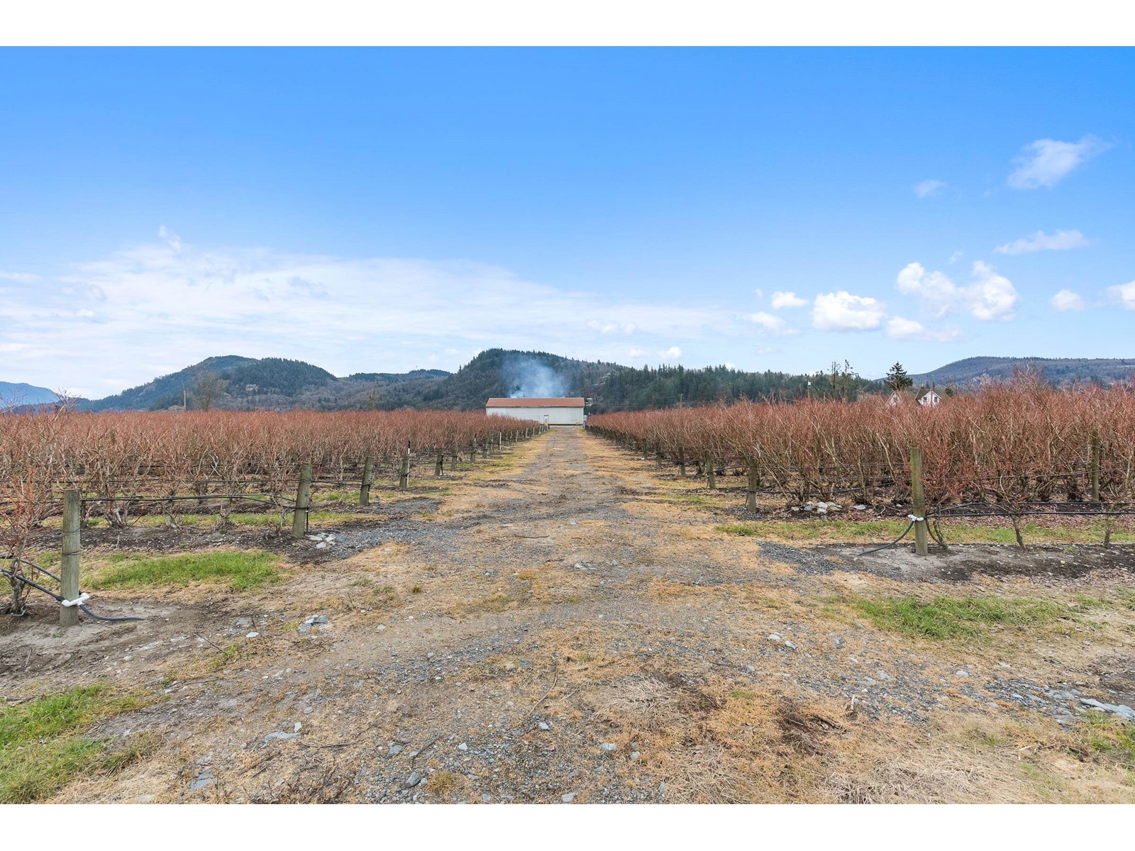 34659 Townshipline Road, Abbotsford, British Columbia  V3G 1R5 - Photo 35 - C8067175