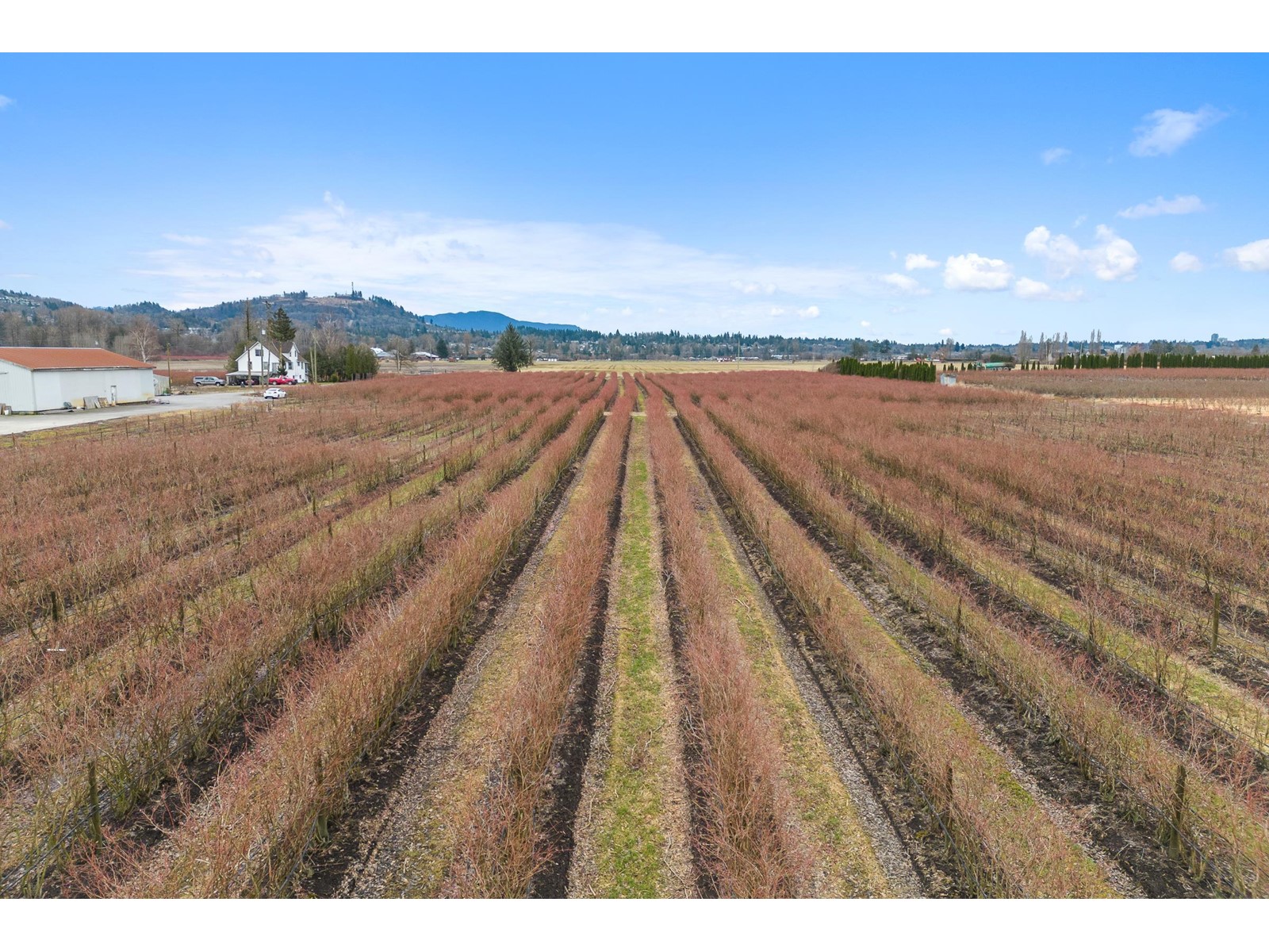 34659 Townshipline Road, Abbotsford, British Columbia  V3G 1R5 - Photo 36 - C8067175