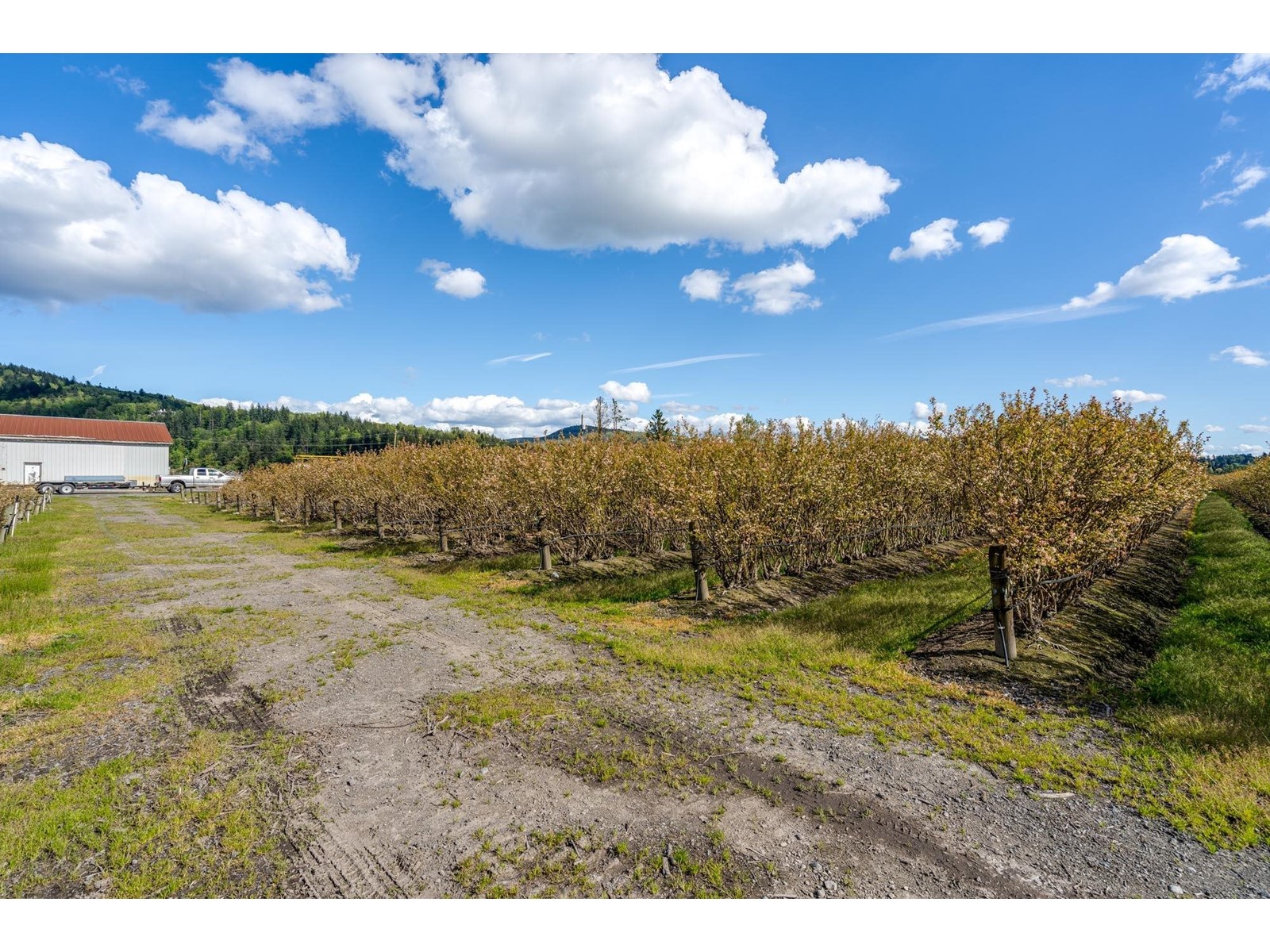34659 Townshipline Road, Abbotsford, British Columbia  V3G 1R5 - Photo 39 - C8067175