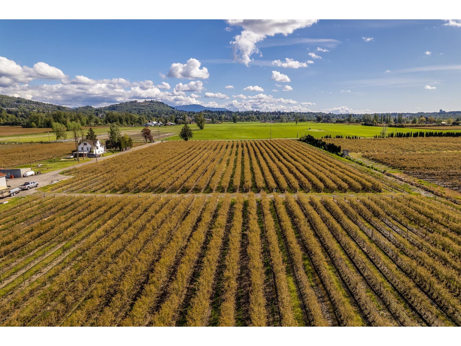 34659 Townshipline Road, Abbotsford, British Columbia  V3G 1R5 - Photo 5 - C8067175