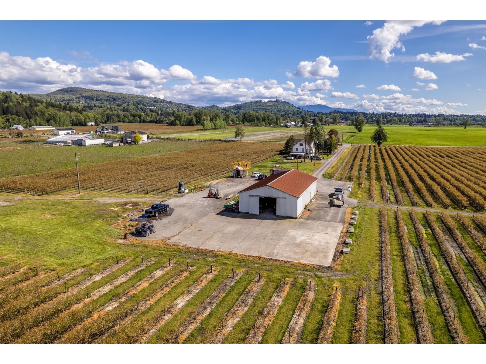 34659 Townshipline Road, Abbotsford, British Columbia  V3G 1R5 - Photo 6 - C8067175