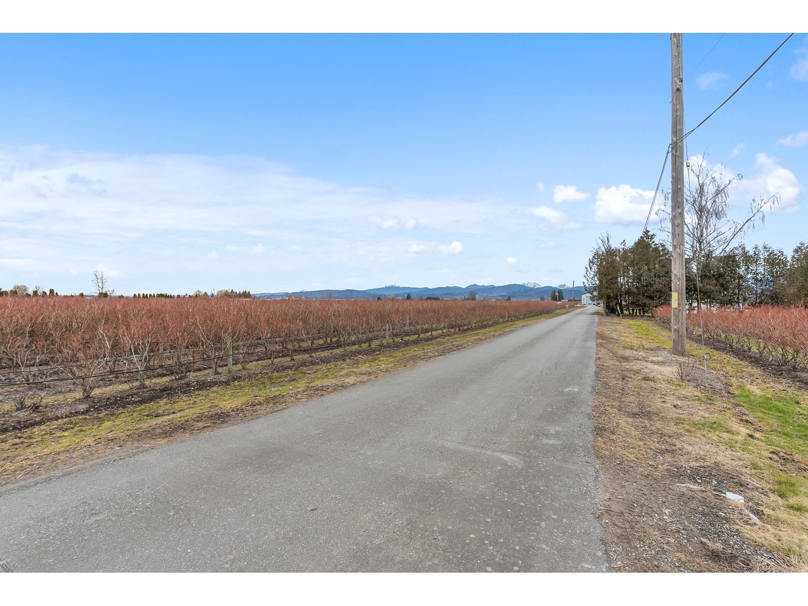 34659 Townshipline Road, Abbotsford, British Columbia  V3G 1R5 - Photo 9 - C8067175