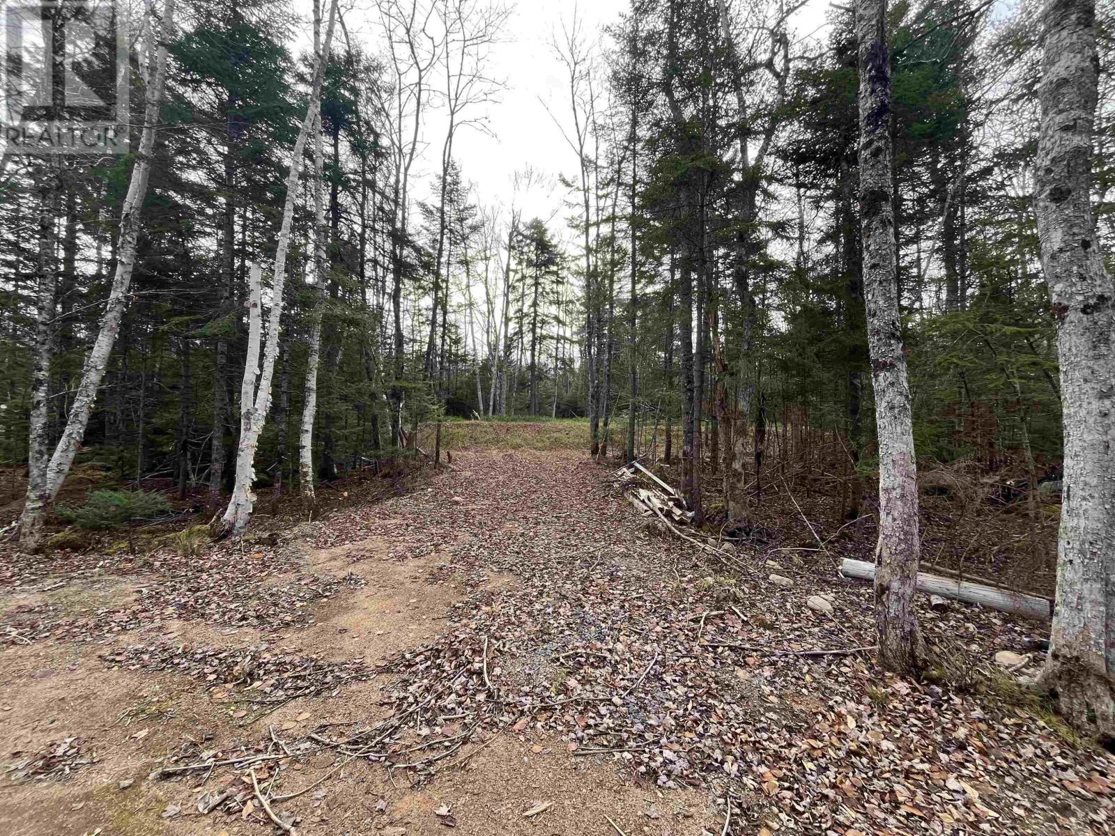 19 R-12 Road, Lake George, Nova Scotia  B0P 1C0 - Photo 31 - 202504097