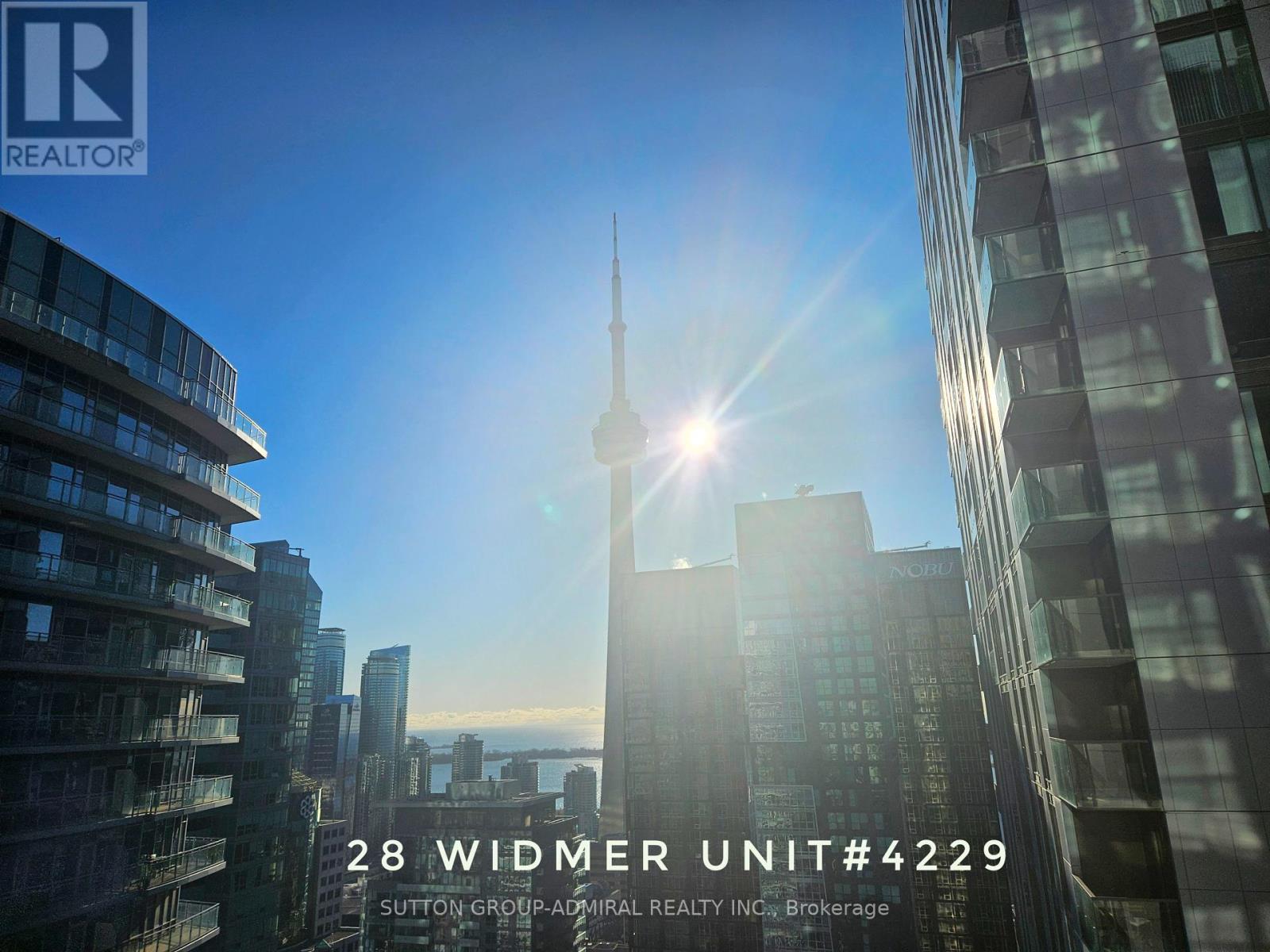 Property at 4229 - 28 WIDMER STREET image 4