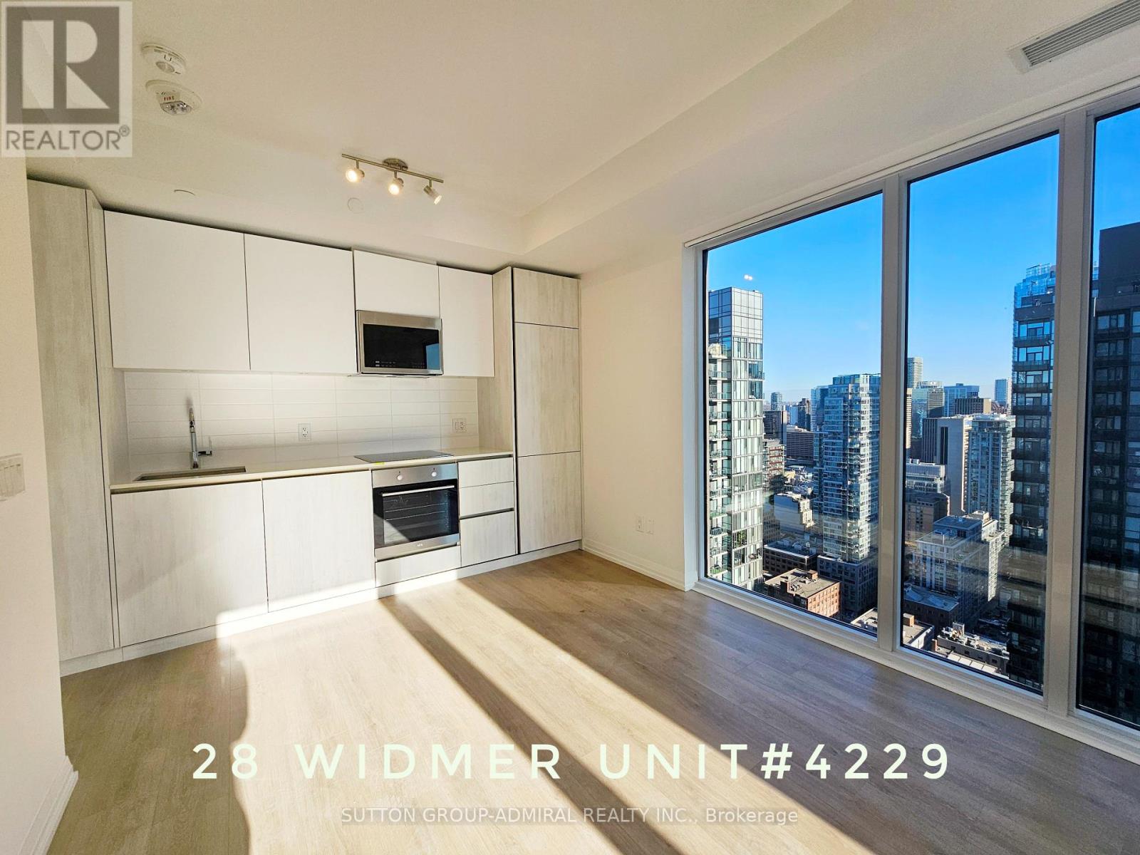 Property at 4229 - 28 WIDMER STREET image 5