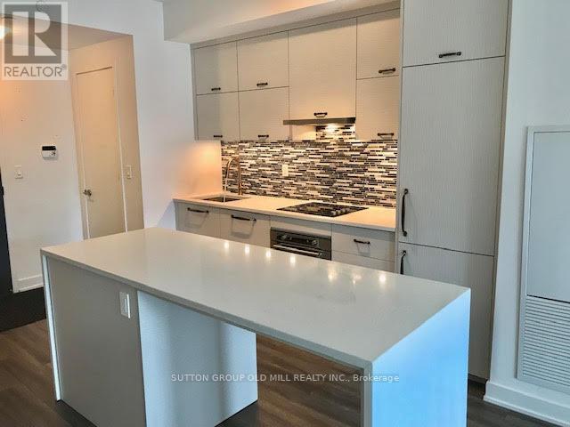 302 - 106 Dovercourt Road, Toronto (Little Portugal), Ontario  M6J 0G4 - Photo 3 - C12000586