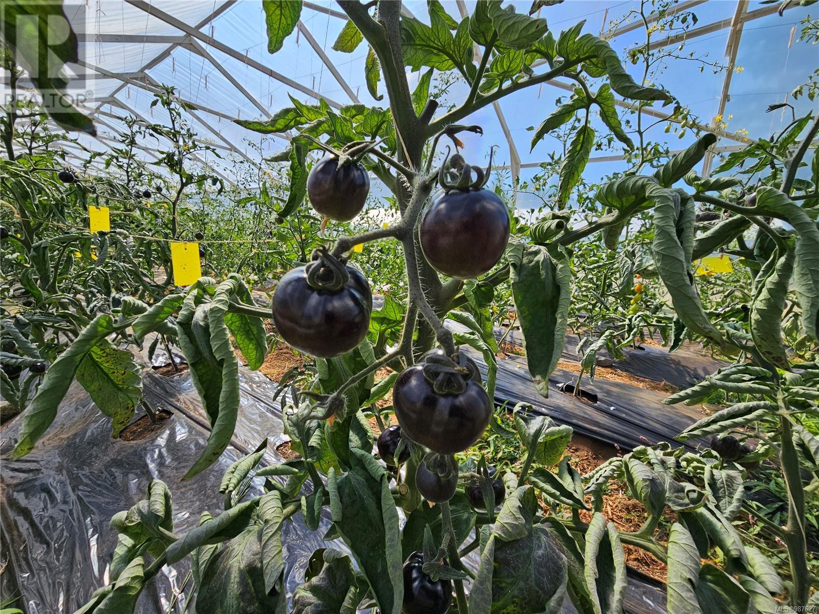 2156 Coleman Rd, Courtenay, British Columbia V9J 1P2 - Photo 16 - 987627