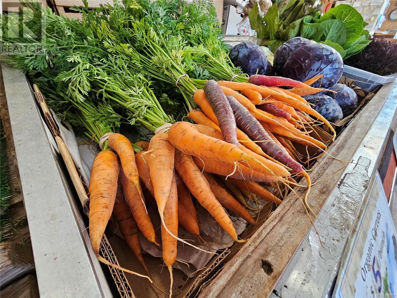 2156 Coleman Rd, Courtenay, British Columbia V9J 1P2 - Photo 12 - 987627