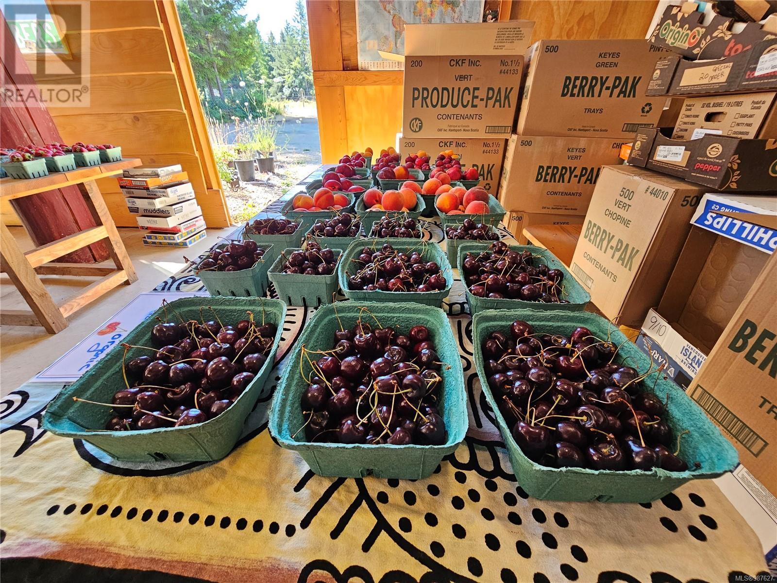 2156 Coleman Rd, Courtenay, British Columbia V9J 1P2 - Photo 78 - 987627