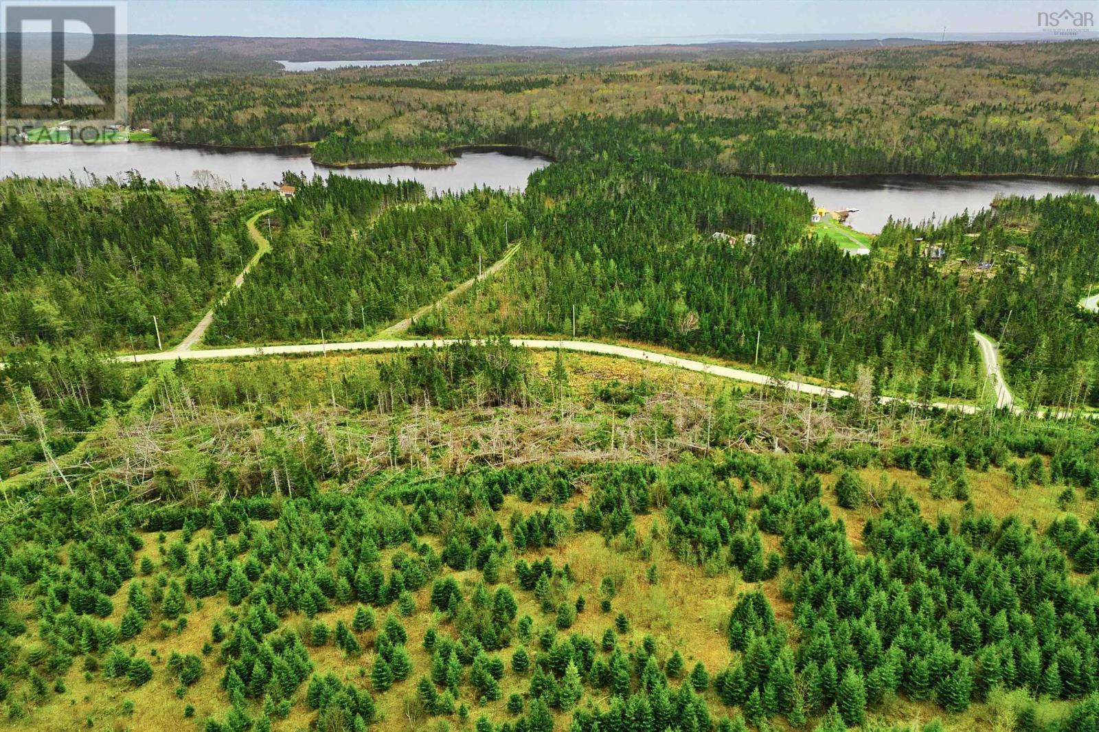 45 Joanne Langford Dr, French Road, Nova Scotia  B1K 3P9 - Photo 10 - 202503751