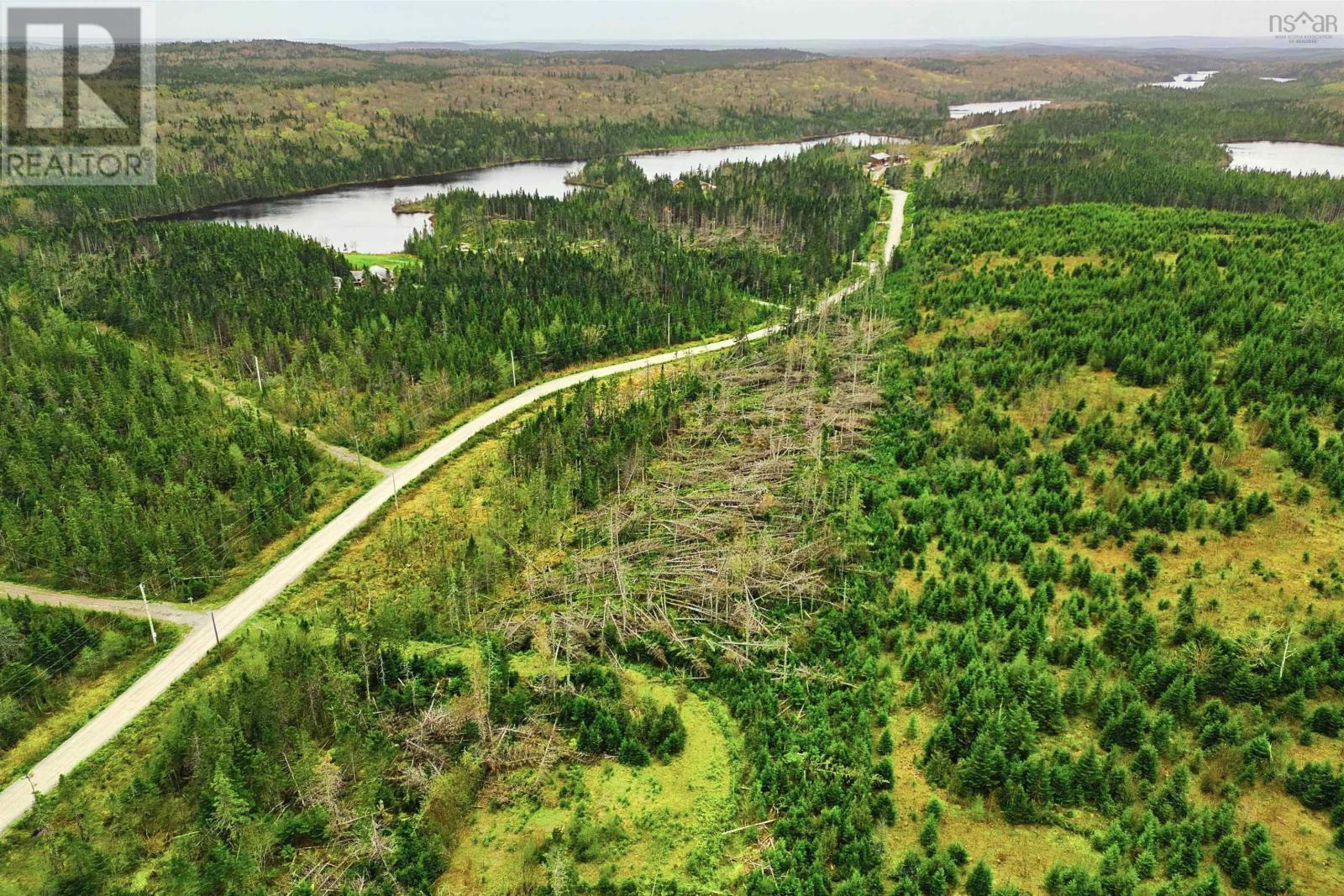 45 Joanne Langford Dr, French Road, Nova Scotia  B1K 3P9 - Photo 11 - 202503751