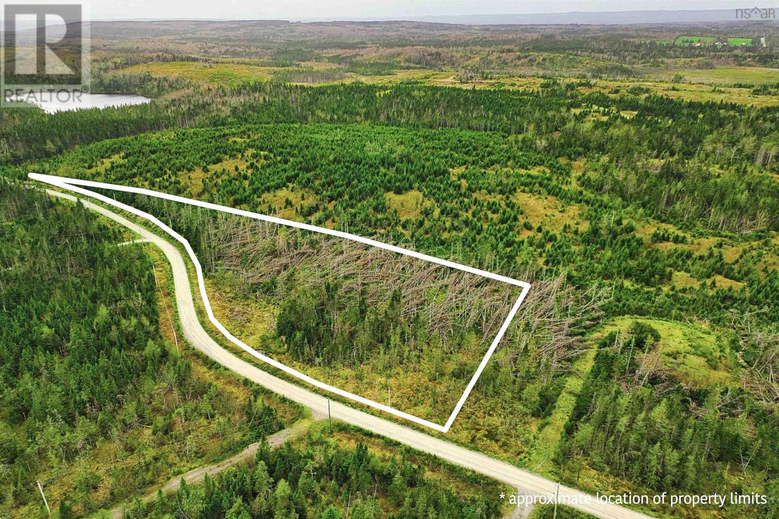 45 Joanne Langford Dr, French Road, Nova Scotia  B1K 3P9 - Photo 4 - 202503751