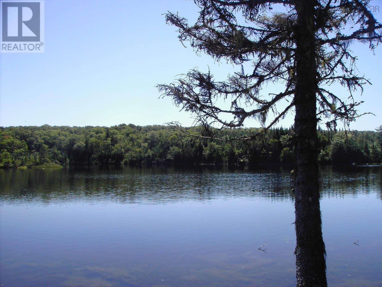 45 Joanne Langford Dr, French Road, Nova Scotia  B1K 3P9 - Photo 5 - 202503751