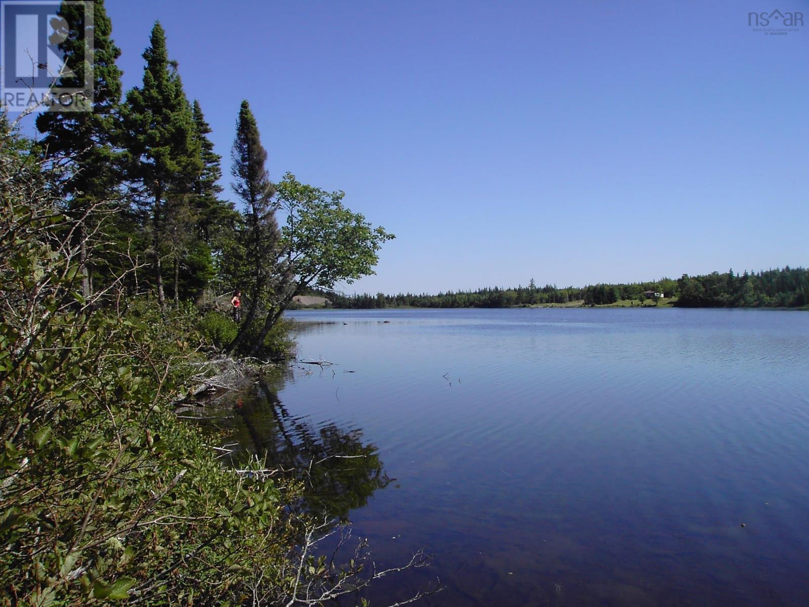 45 Joanne Langford Dr, French Road, Nova Scotia  B1K 3P9 - Photo 7 - 202503751