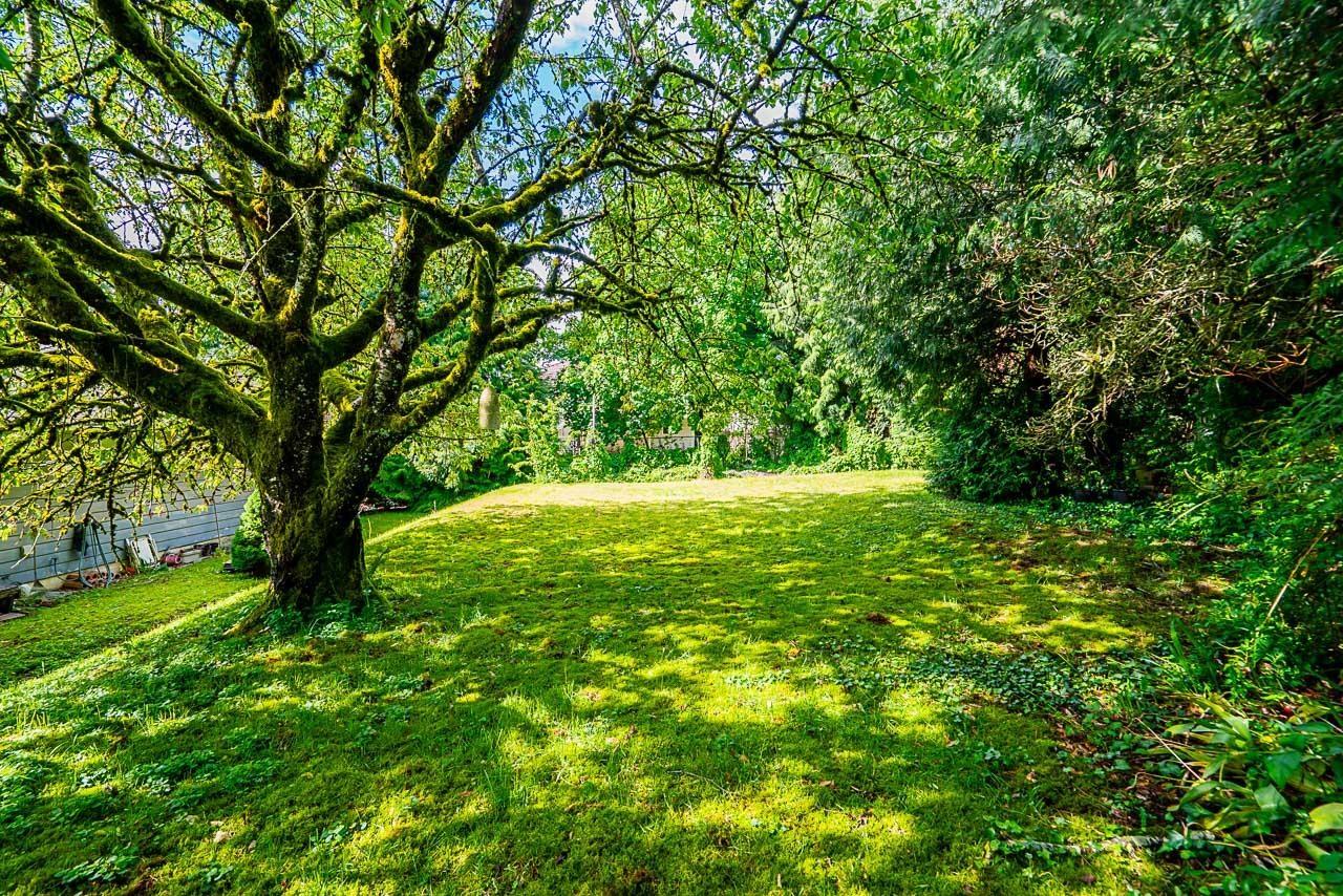 6166 180 Street, Surrey, British Columbia  V3J 2P9 - Photo 25 - R2973507