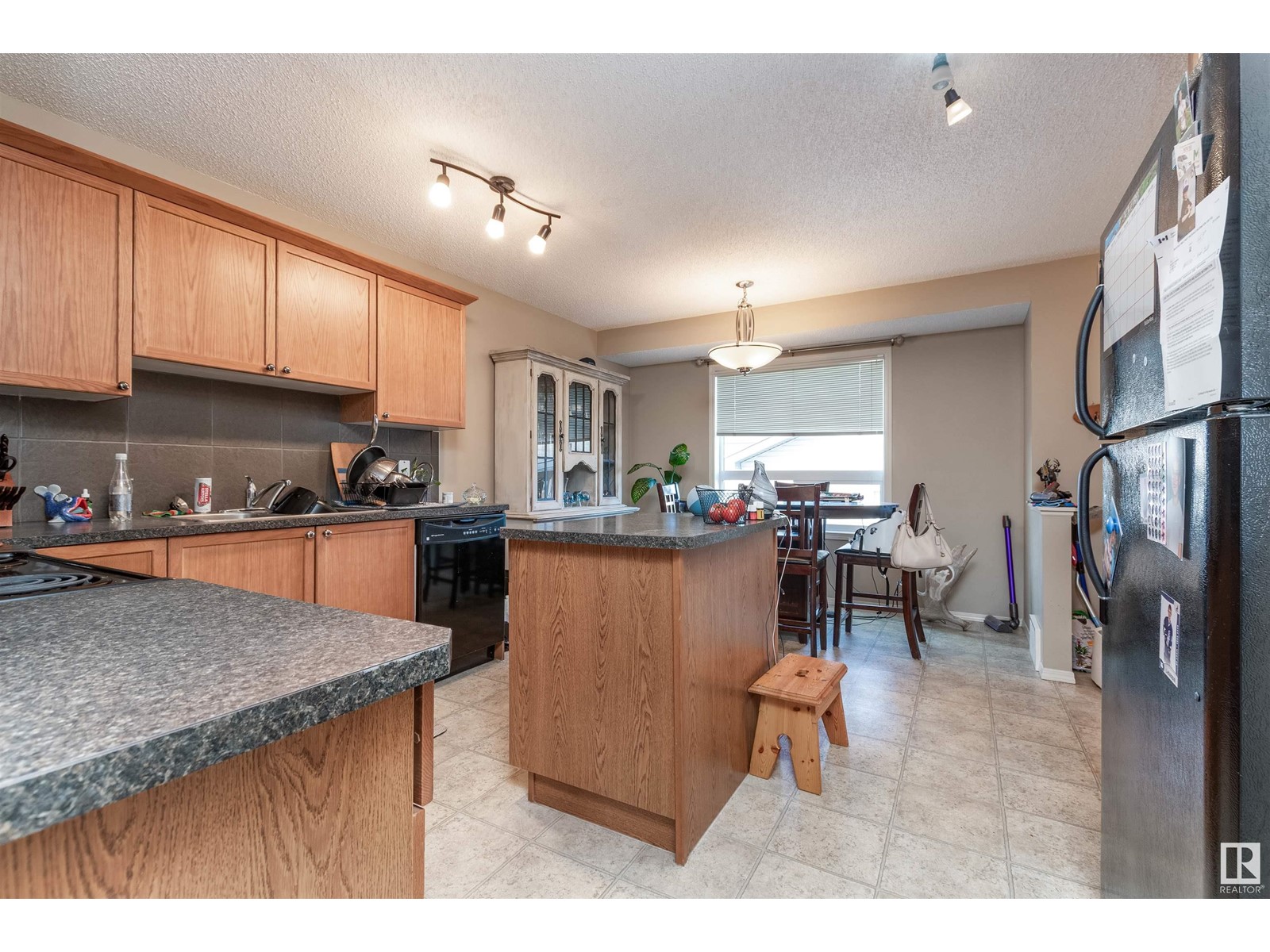 528 Songhurst Wy, Leduc, Alberta  T9E 0P8 - Photo 6 - E4423928