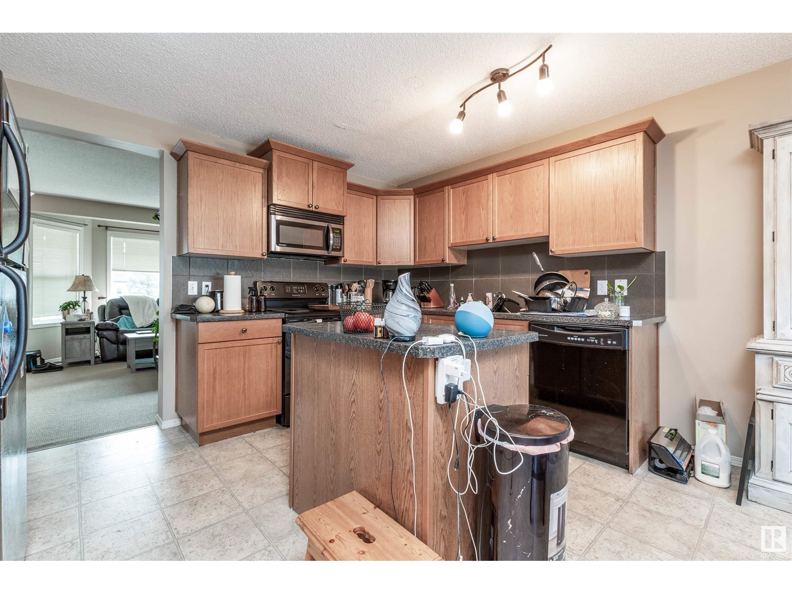 528 Songhurst Wy, Leduc, Alberta  T9E 0P8 - Photo 8 - E4423928