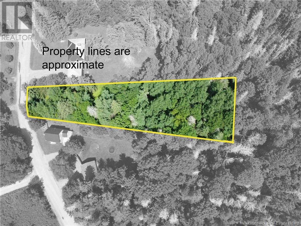 Lot Academy Street, Hillsborough, New Brunswick  E4H 2R5 - Photo 6 - NB113189