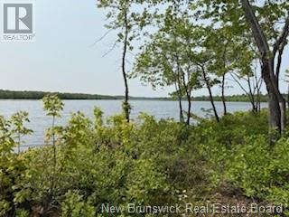 Lot Wegesegum Road, Chipman, New Brunswick  O0O 0O0 - Photo 11 - NB113398
