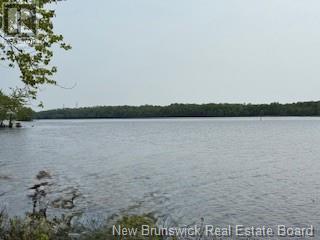 Lot Wegesegum Road, Chipman, New Brunswick  O0O 0O0 - Photo 13 - NB113398