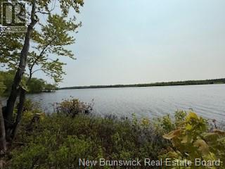 Lot Wegesegum Road, Chipman, New Brunswick  O0O 0O0 - Photo 14 - NB113398
