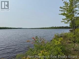 Lot Wegesegum Road, Chipman, New Brunswick  O0O 0O0 - Photo 16 - NB113398