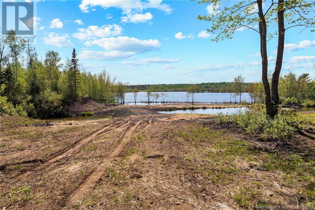 Lot Wegesegum Road, Chipman, New Brunswick  O0O 0O0 - Photo 4 - NB113398
