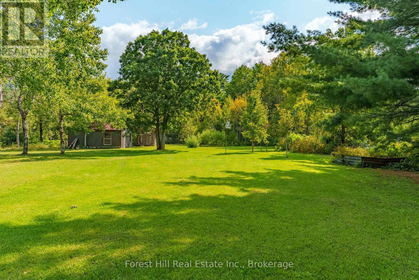 1190 Winhara Road, Gravenhurst, Ontario  P1P 1R1 - Photo 40 - X12001147