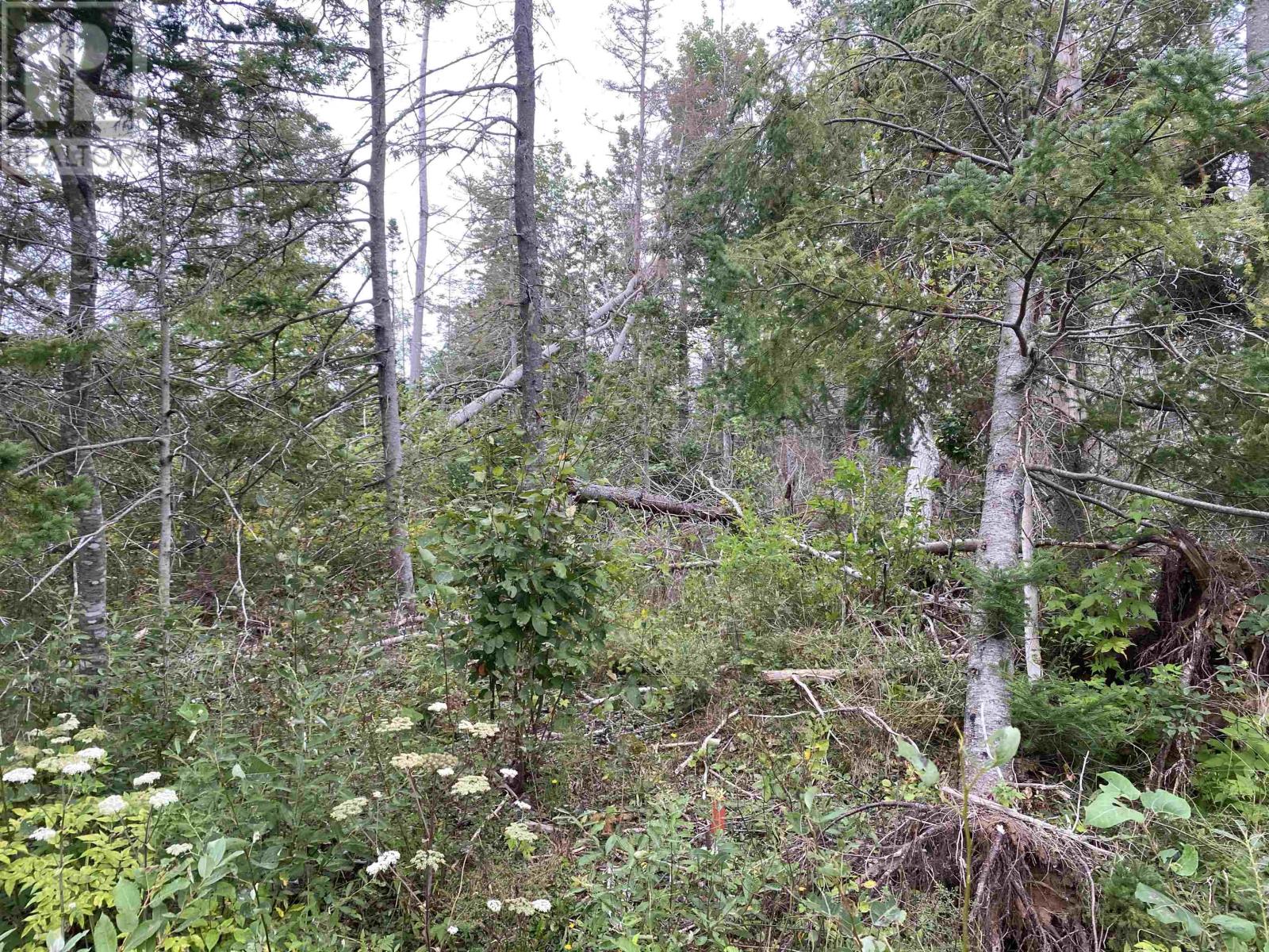 Property at Lot 6 Floating Bridge Road image 4